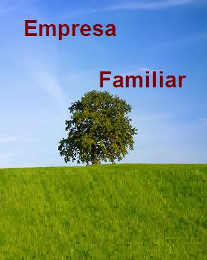 La Profesionalización de la Empresa Familiar